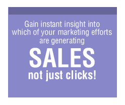 Marketing reports provide you with insight into your conversion rate and sales, not just clicks and hits !
